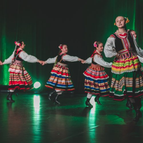 zpit ziemia lisiecka (19)